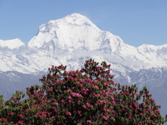 Picture20